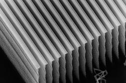 300nm line 20cycle 0